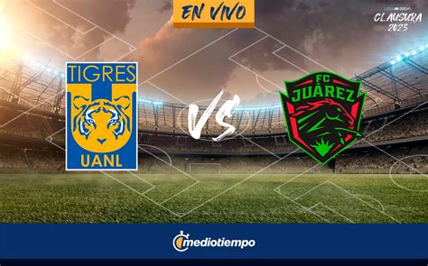 juego de tigres hoy